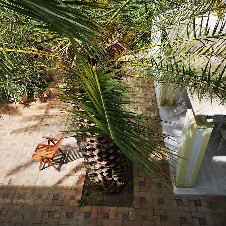 B&B La Salamandra Kitchengarden Forio  ภายนอก รูปภาพ